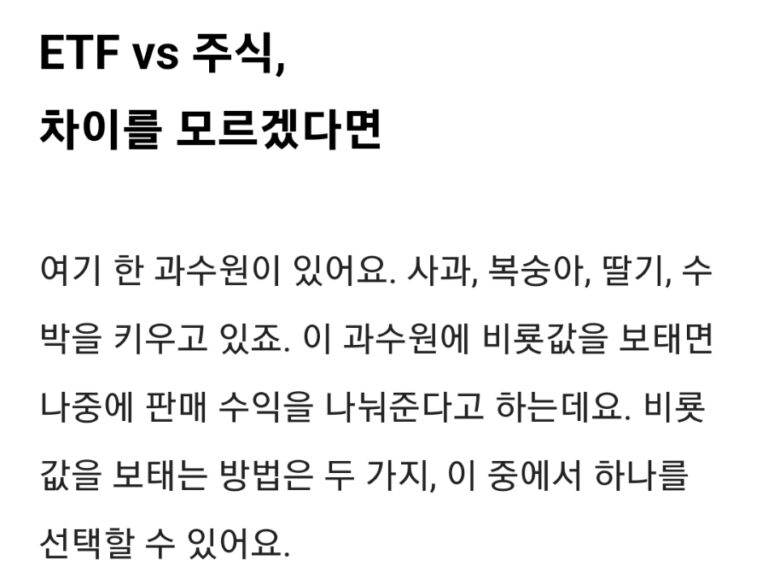 S&P500 ETF 증시 동향, 수익률·환율·개인 투자 영향